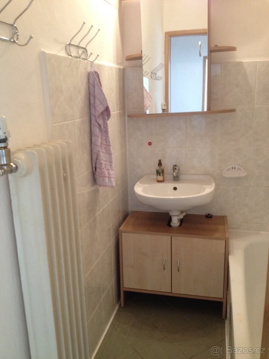 Pronájem bytu 1+1, Přerov, ul. Wurmova - 7