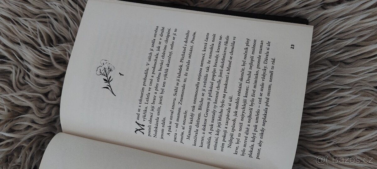 Děs sídla WAKE'S END - 7