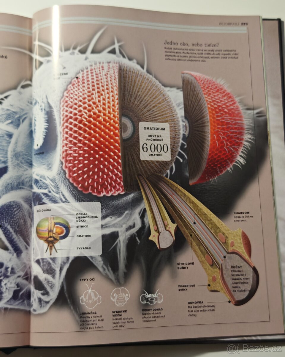 Ottova encyklopedie ZVÍŘATA - NOVÁ - 7