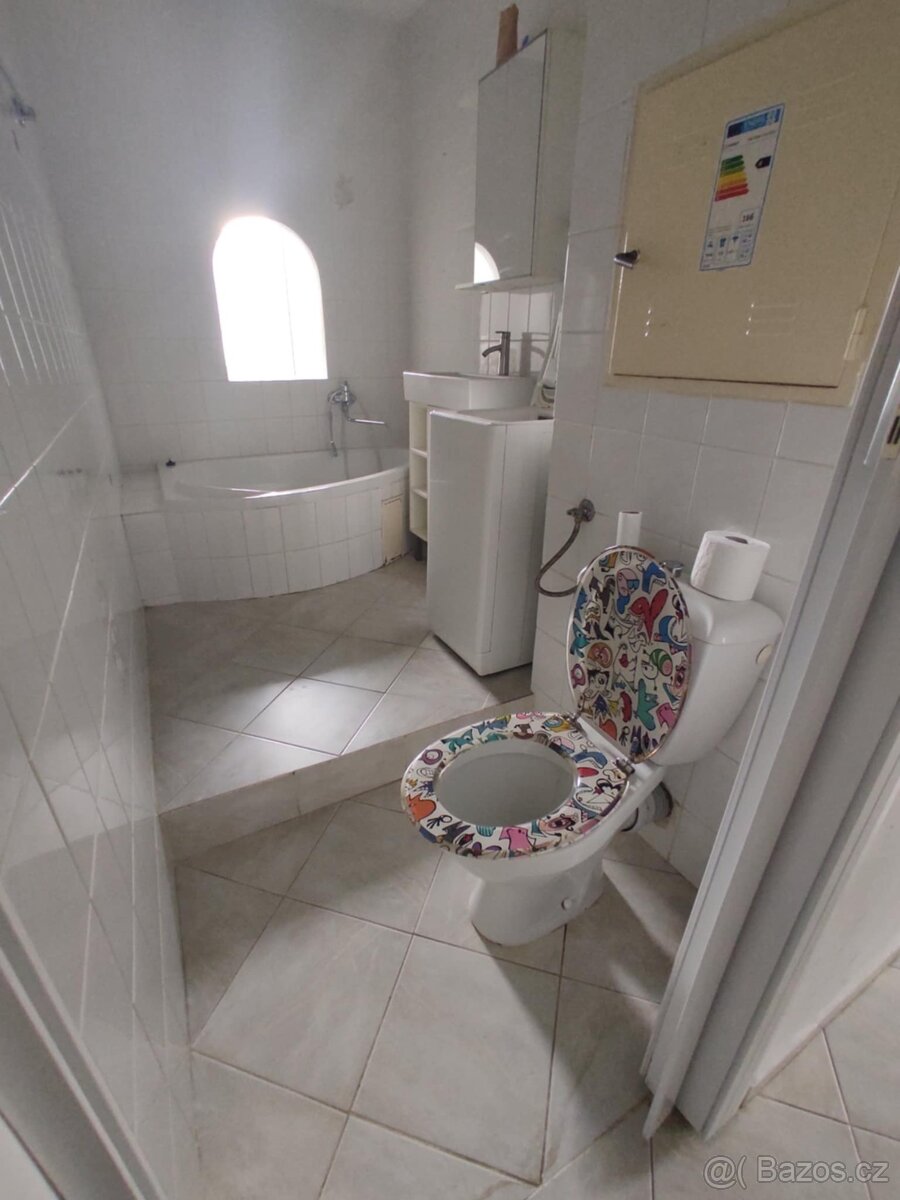 Pronájem bytu 2+1, 52 m² – Olomouc, Lazce (bez RK) - 7