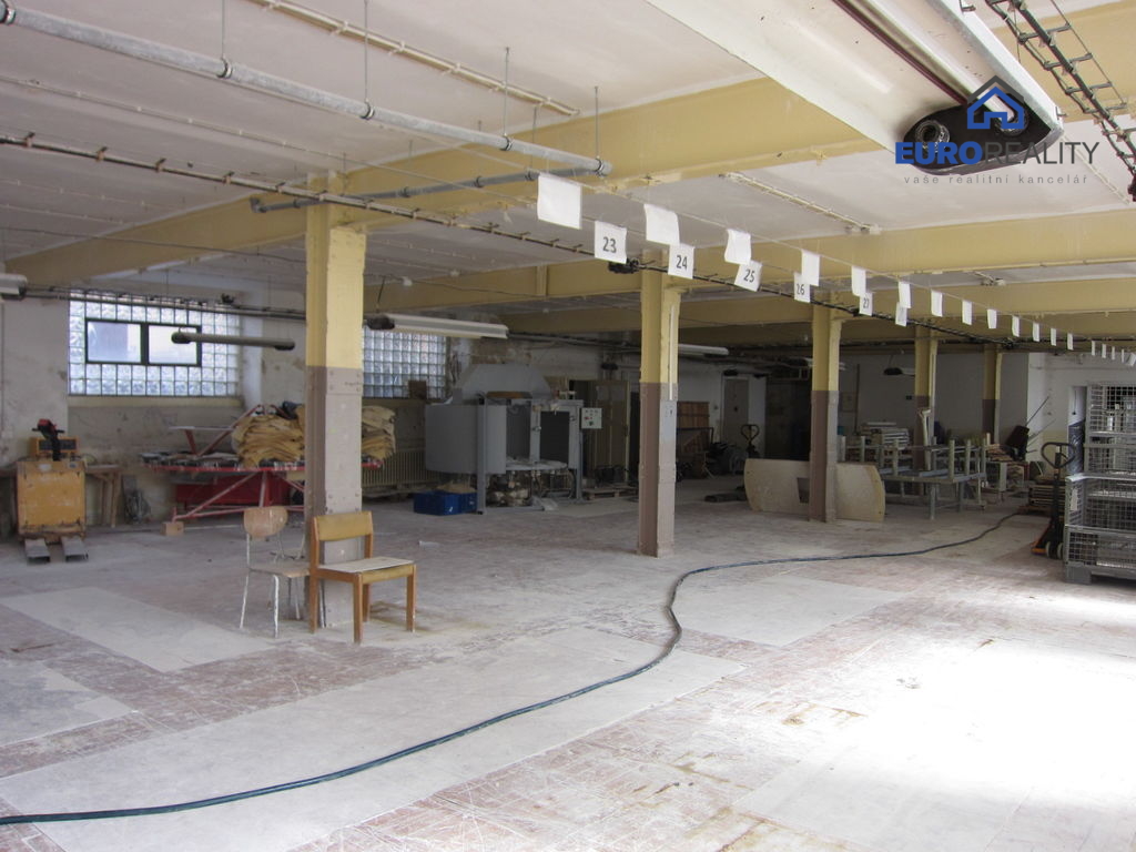 Prodej, bytový dům, 5 379 m2, Aš - 7