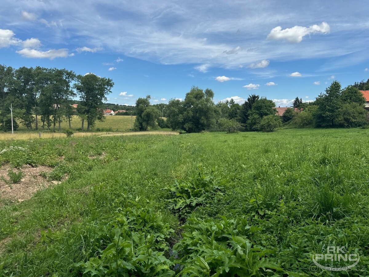 Prodej pozemkku o velikosti 7.273 m2 v obci Třeboc, Rakovník - 7