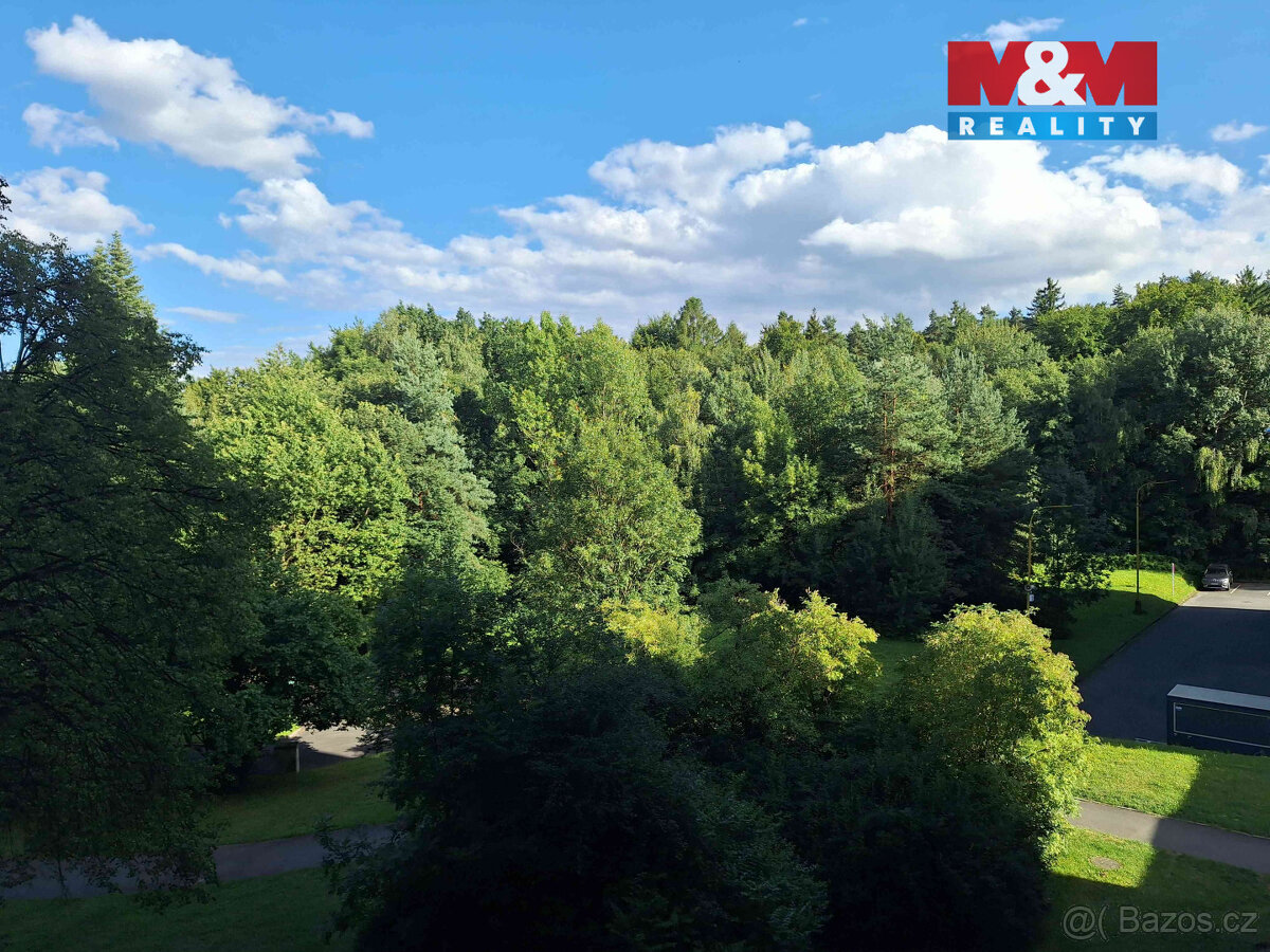 Pronájem bytu 1+kk, 42 m², Hrabyně - 7