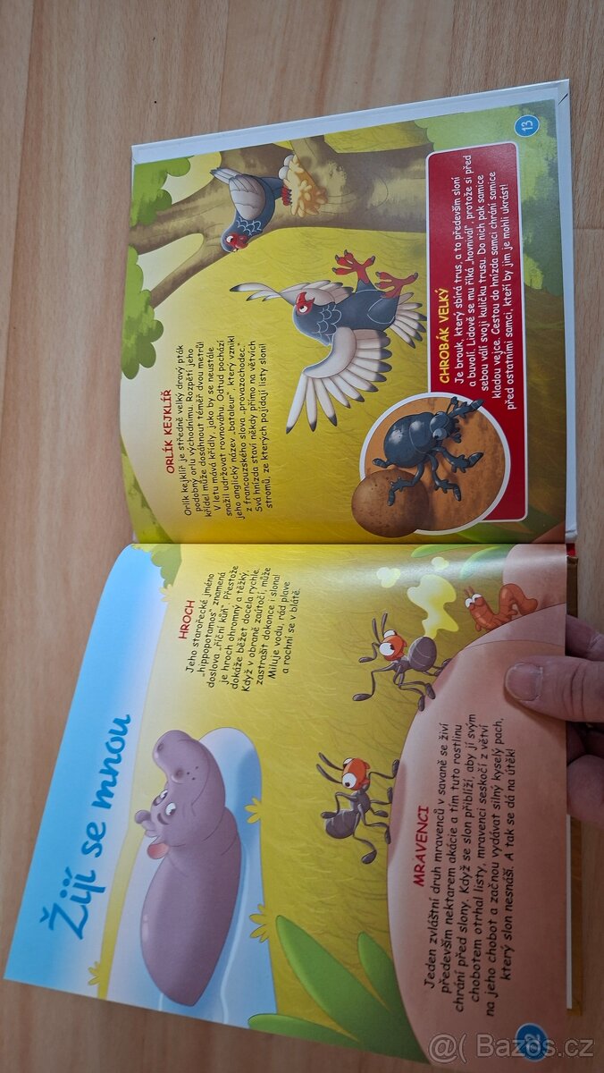 Knížka o slonech - 7