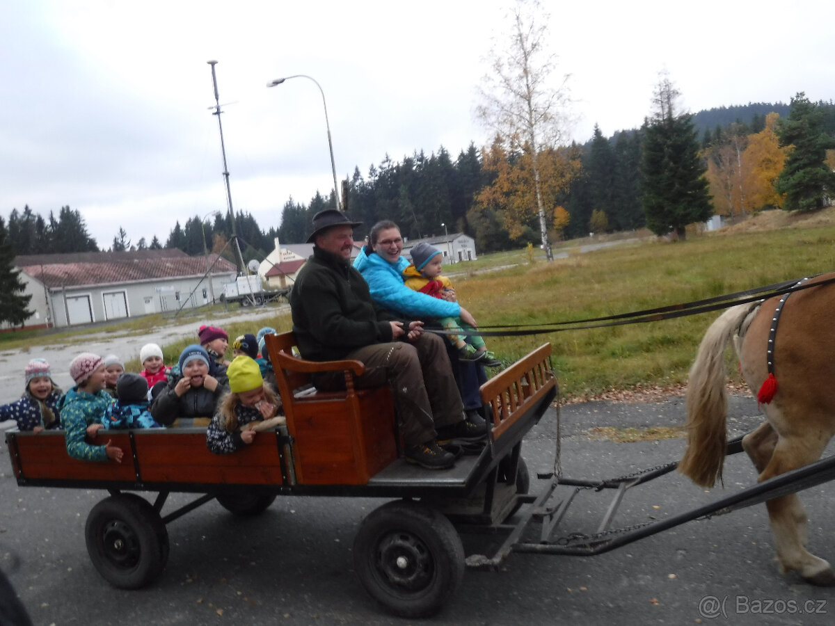 SÁNĚ A VŮZ ZA KONĚ - prodám - 7