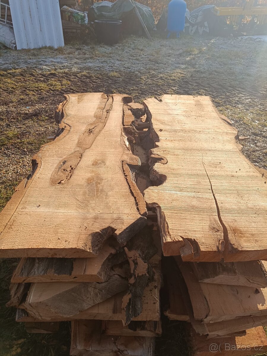 Fošny akátu 55-50mm na epoxid - 7