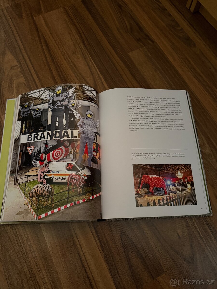 GRAFFITI KNIHY - 7