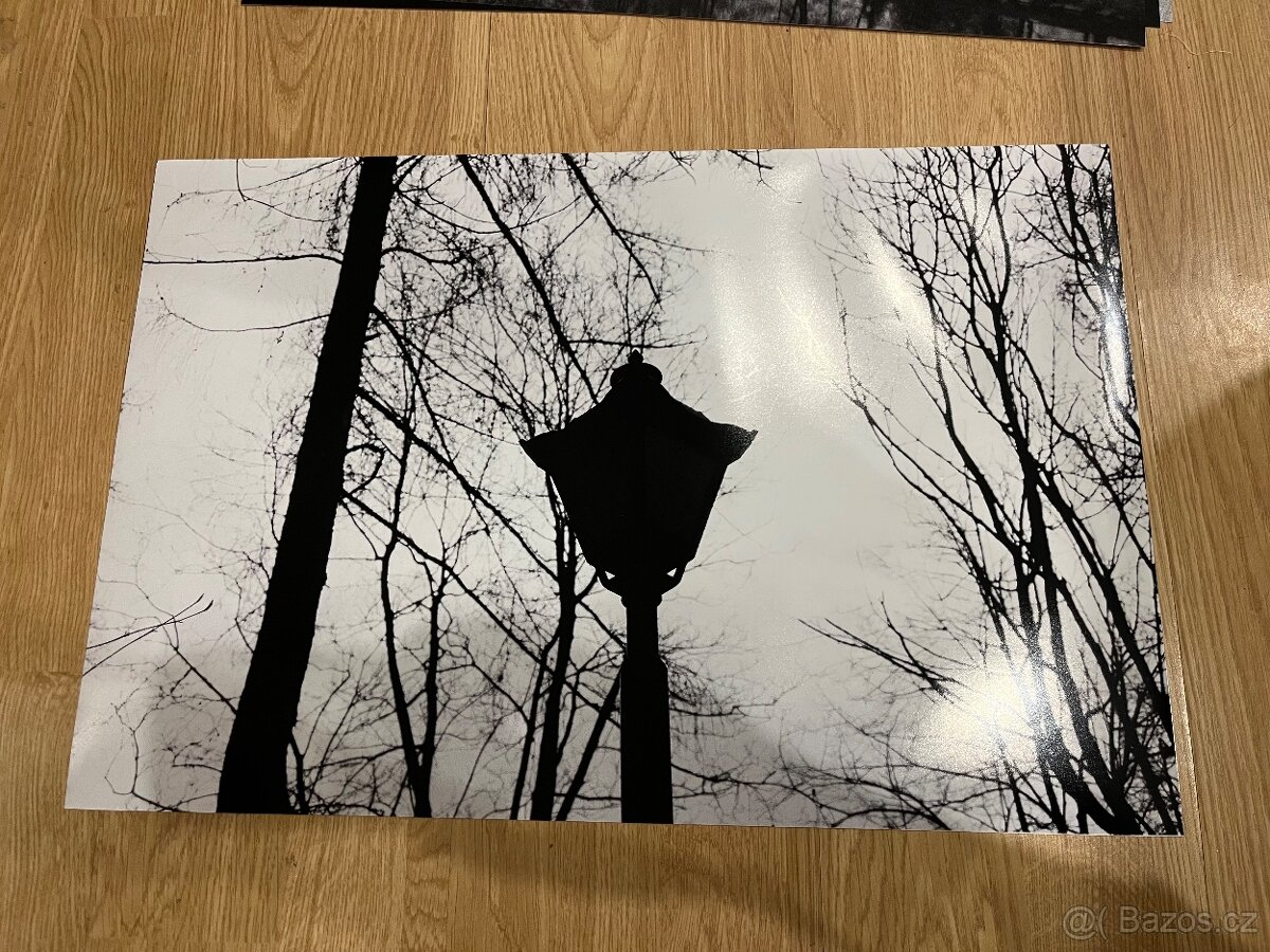 Fotografie černobílé - 7