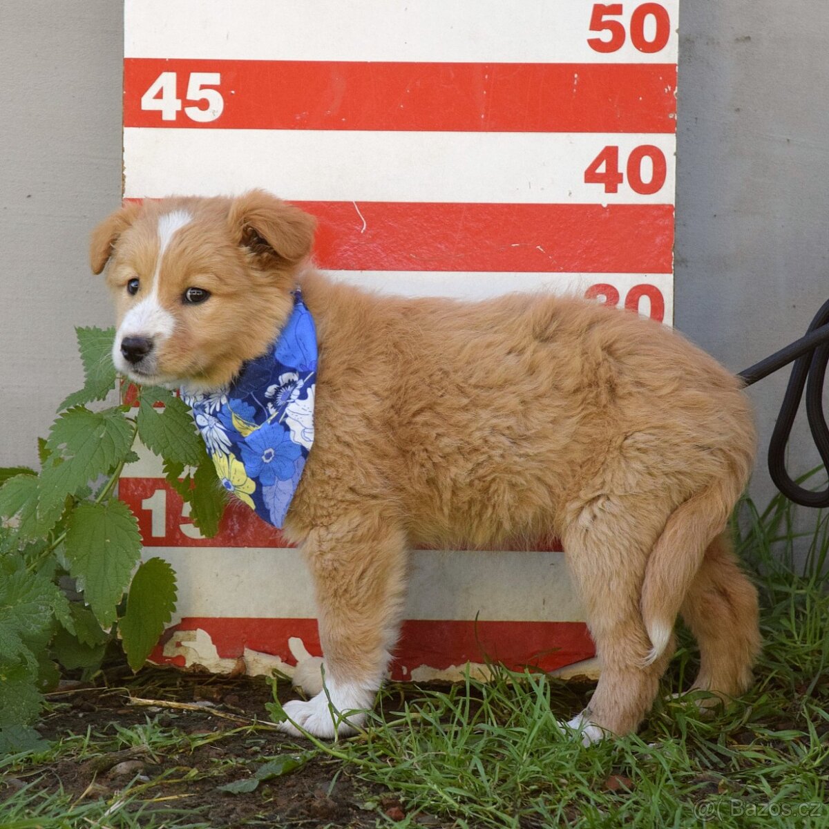 Balisha rezervace - 7