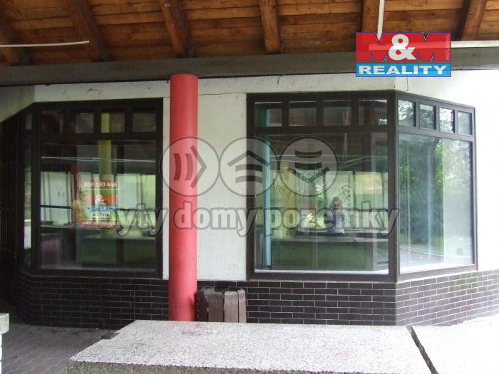 Pronájem obchod a služby, 116 m², Český Těšín, ul. Smetanova - 7