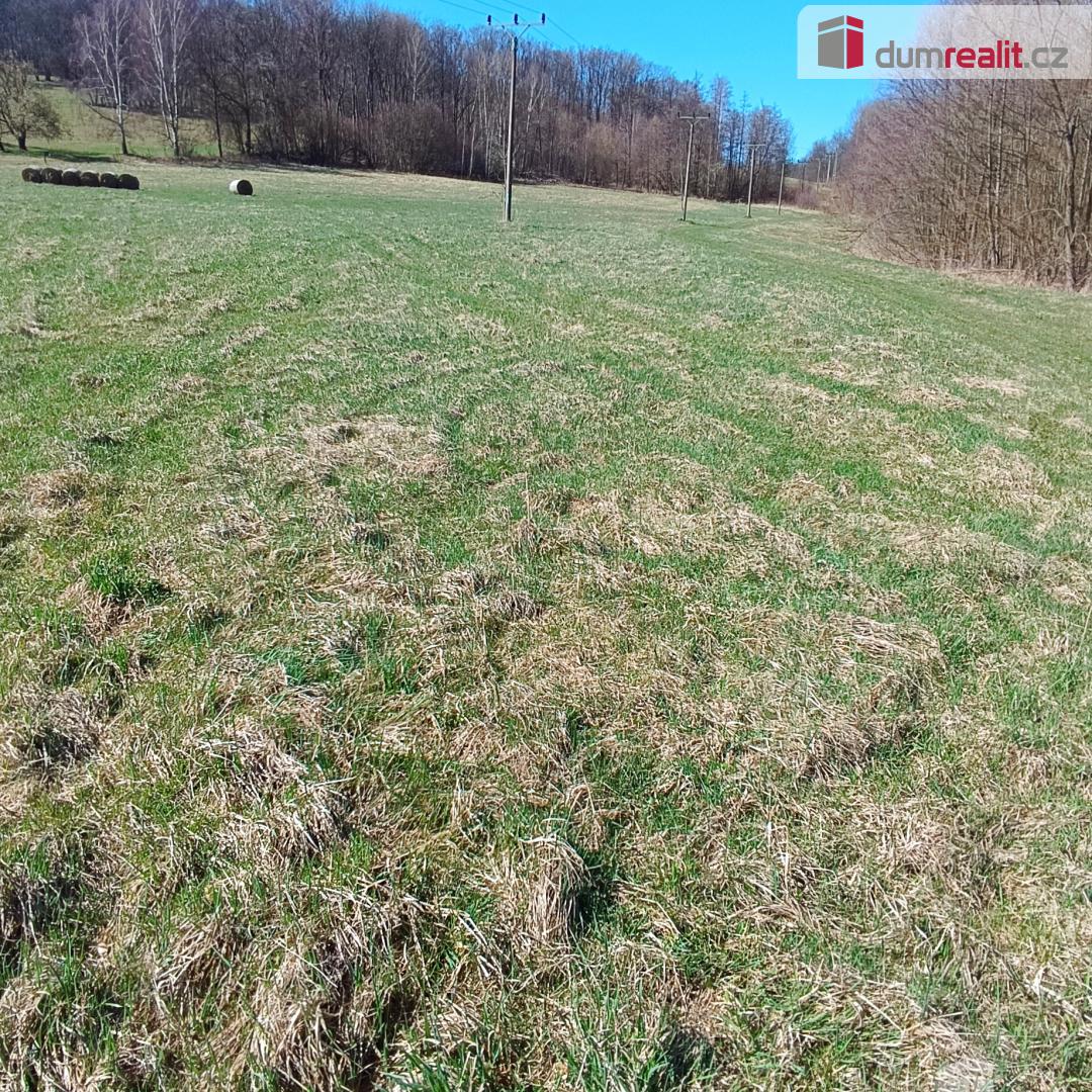 Prodej pozemku o rozloze 4050 m2 určeného k zastavění, Fojto - 7