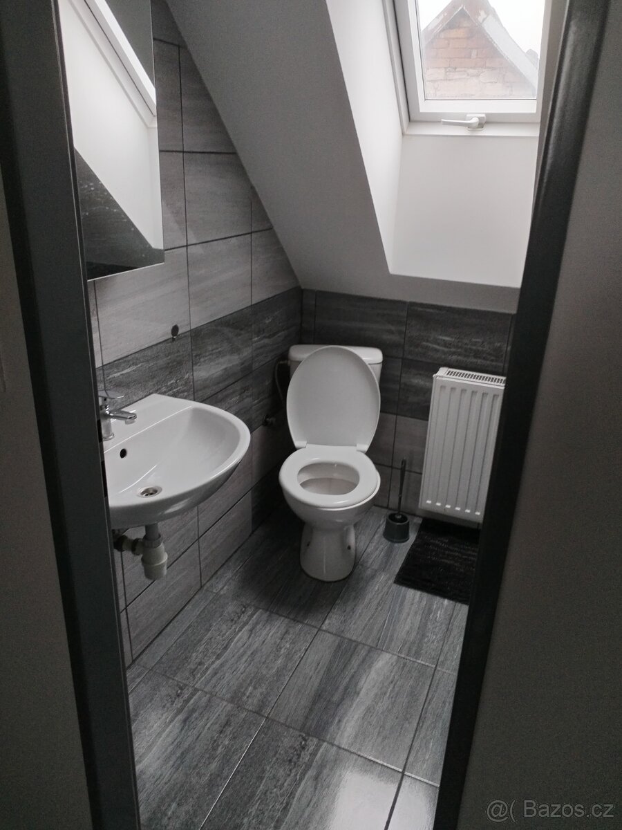 Pronájem bytu - 7