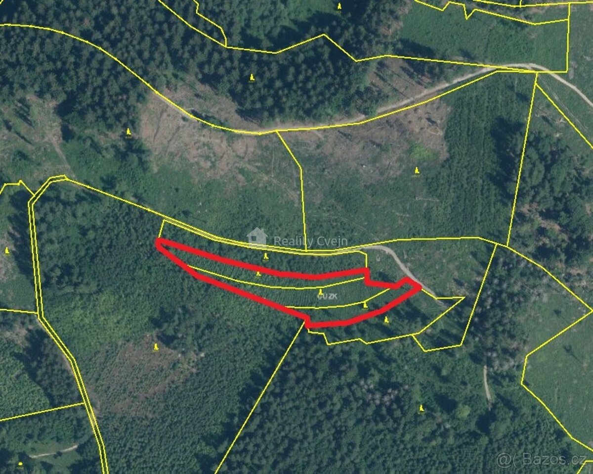 Lesní pozemky k.ú. Růžďka - 7