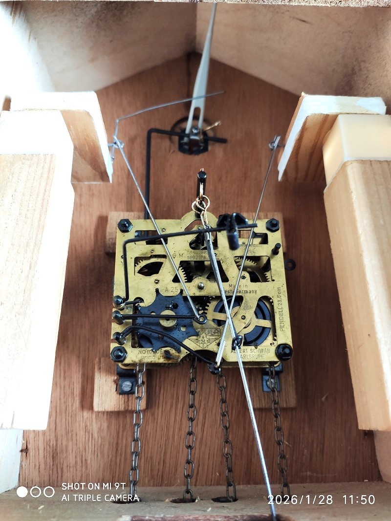 Hezke, kukacky, Schwarzwald - 7