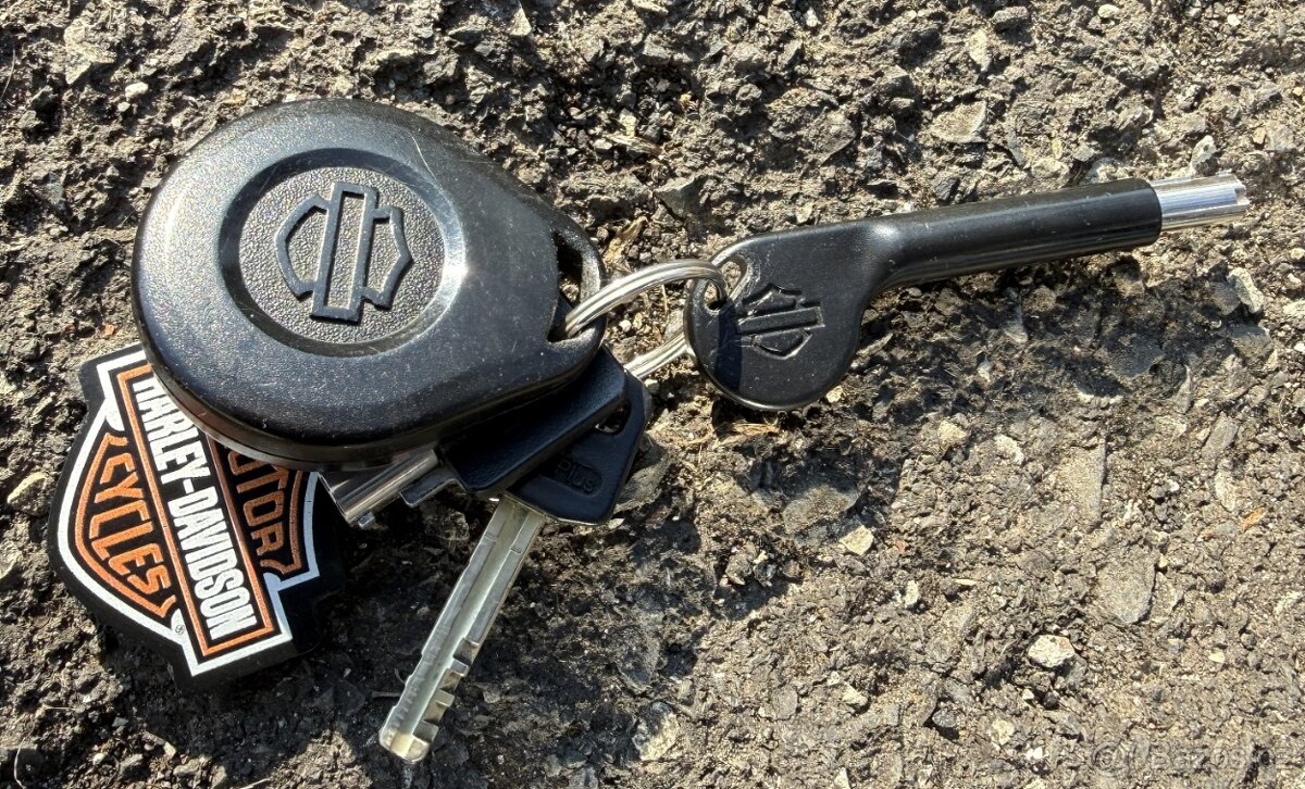 HARLEY DAVIDSON® BREAKOUT FXSB - 7