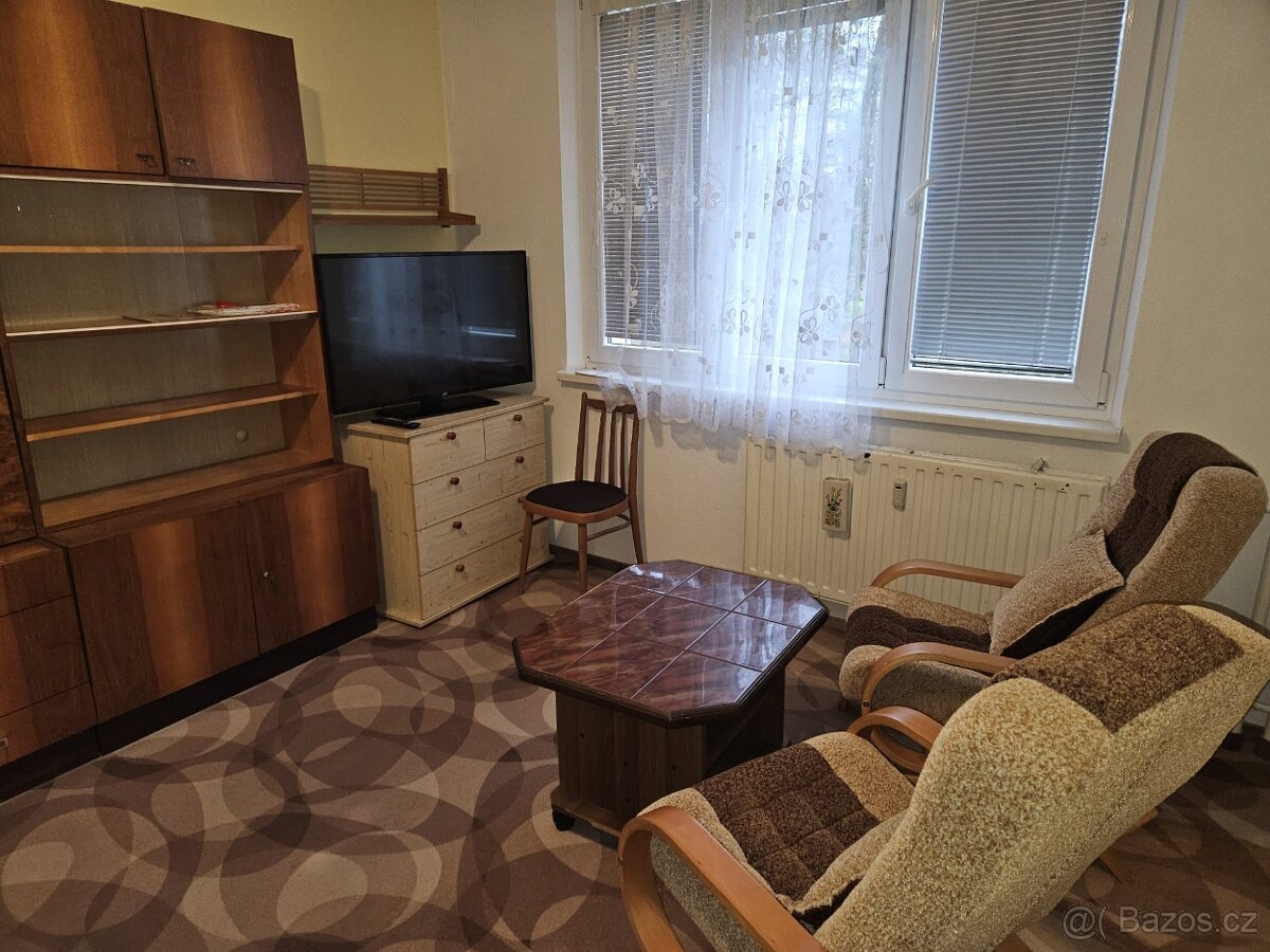 Pronájem bytu 1+1 Mariánské lázně - 7