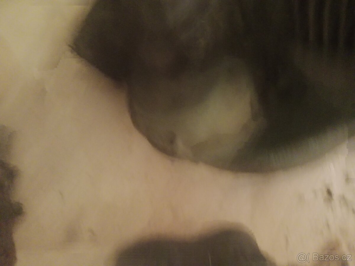 Motor motorobot PF62 - 7