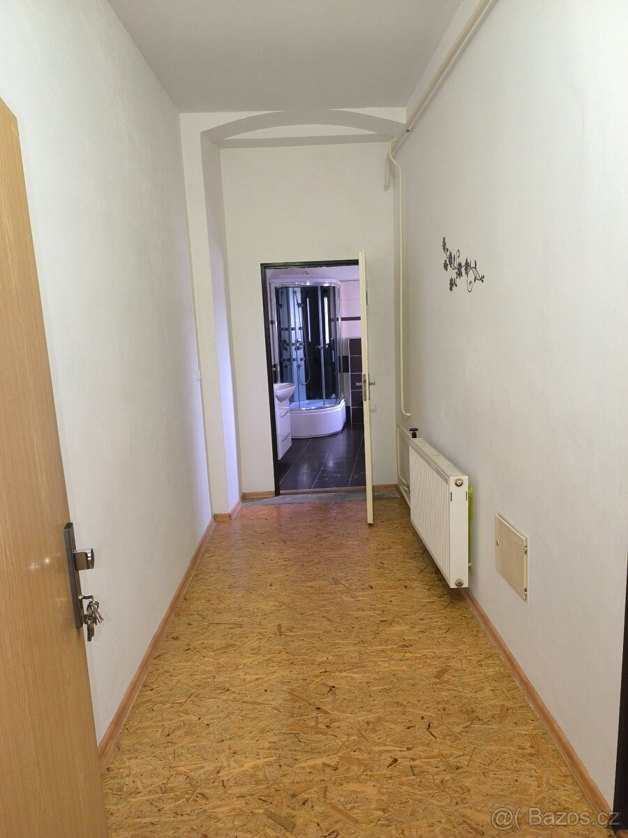 Byt 1+1 o vymere 60m2 - 7