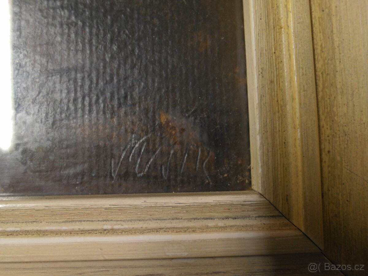 Zátiší chryzantémy Antonín Šustr 12.6.1923 - 7