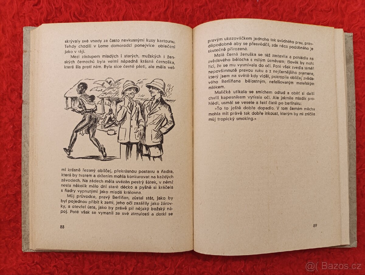 V ŘÍŠI KROKODILŮ A VOLAVEK - Georg Strack - 7