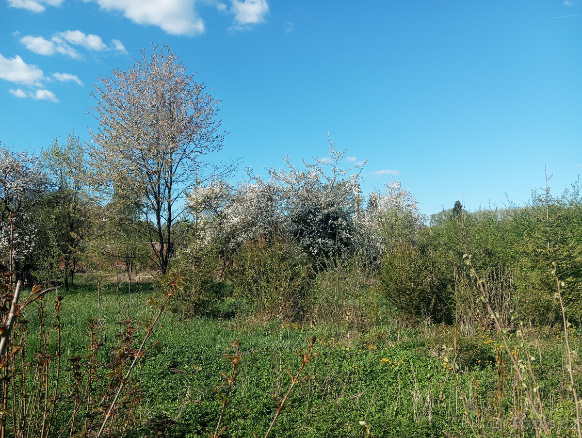 Prodej dvou rodinných domů s velkými stavebními pozemky - 7