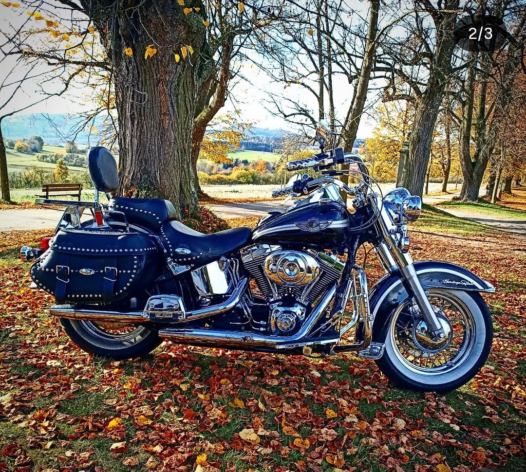 Harley Davidson FLSTCI Heritage 2003 - 7