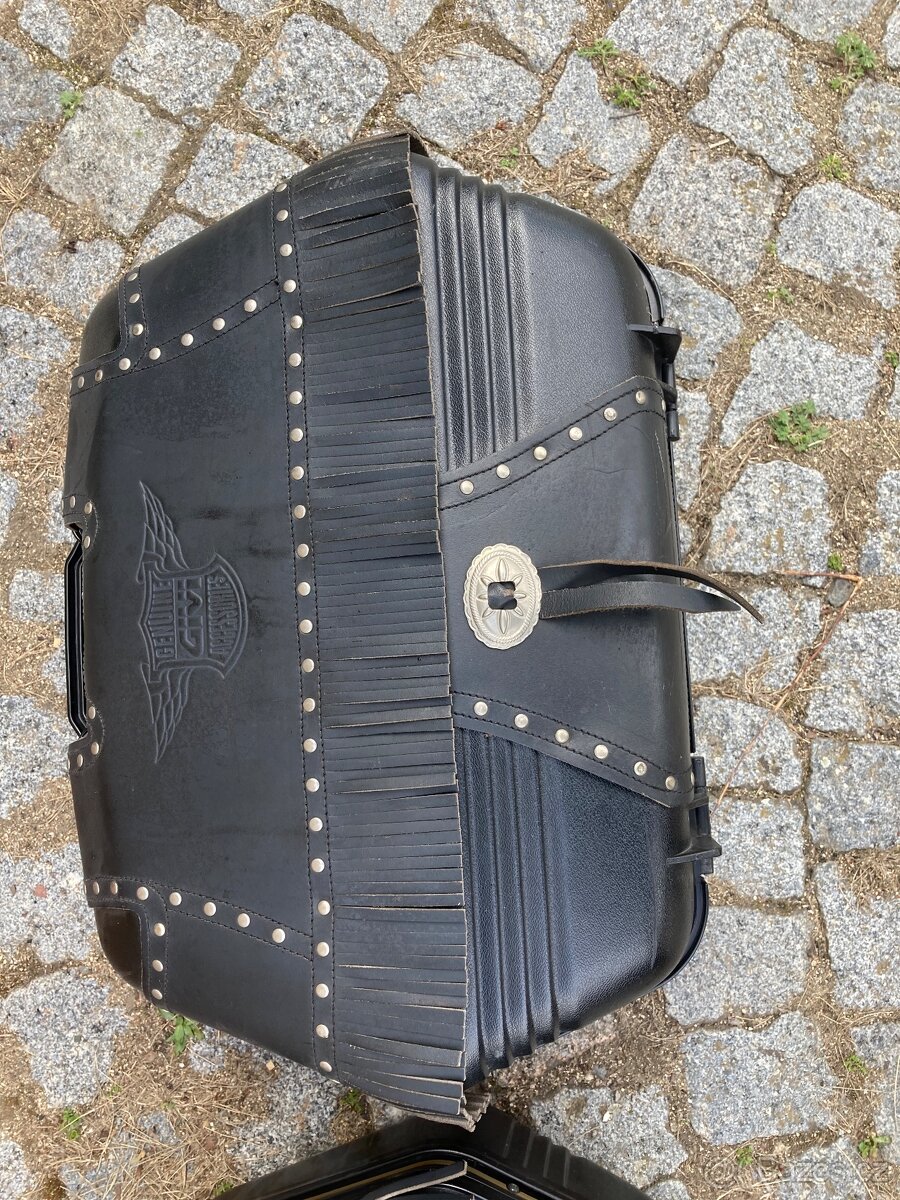 Motokufry Givi Monokey chopper - 7