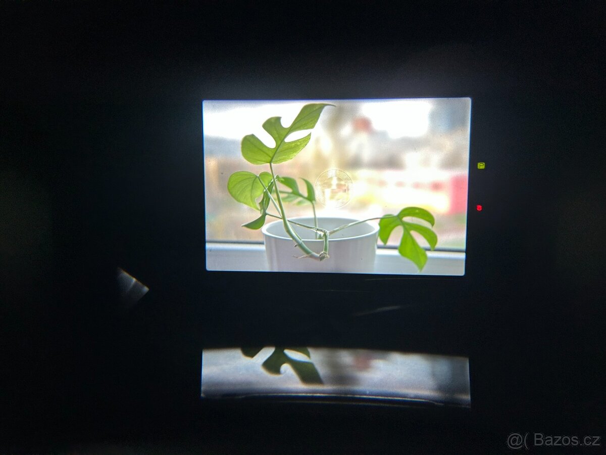 Canon AE-1 Program + Canon FD 50mm f/1.8 - 7