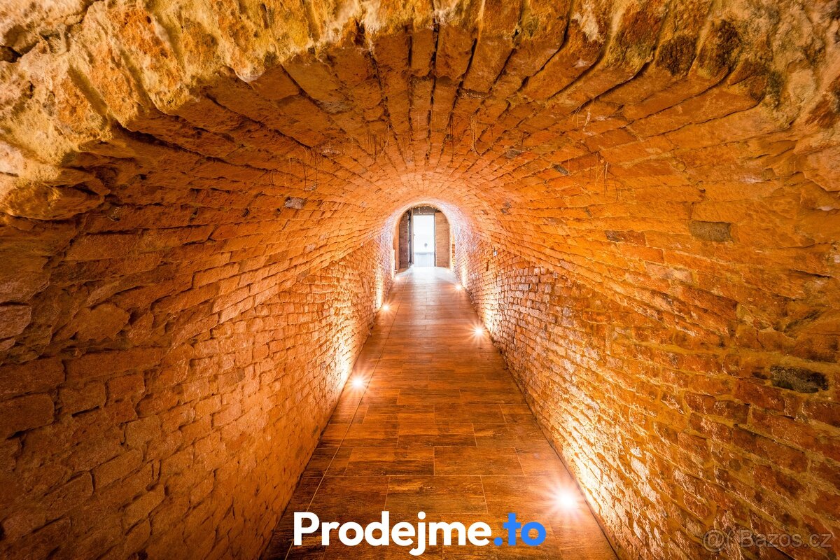 Prodej vinného sklepu, 182 m² - Dyjákovice, ev.č. 01221 - 7