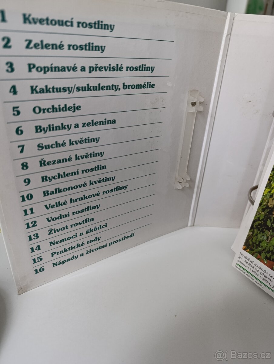 Pokojové květiny od A po Z - 7