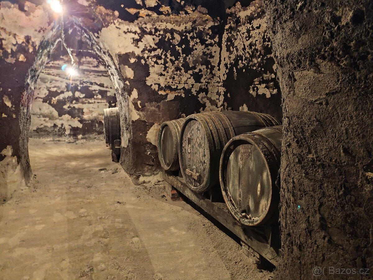 Pronájem, vinný sklep s lisovnou, Nový Šaldorf - 7