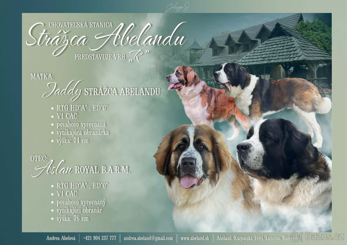 Moskevský strážní pes - štěňata s PP - 7