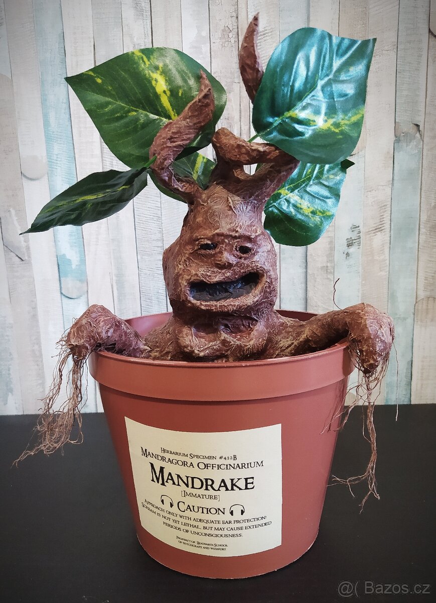 Mandragora Harry Potter - 7