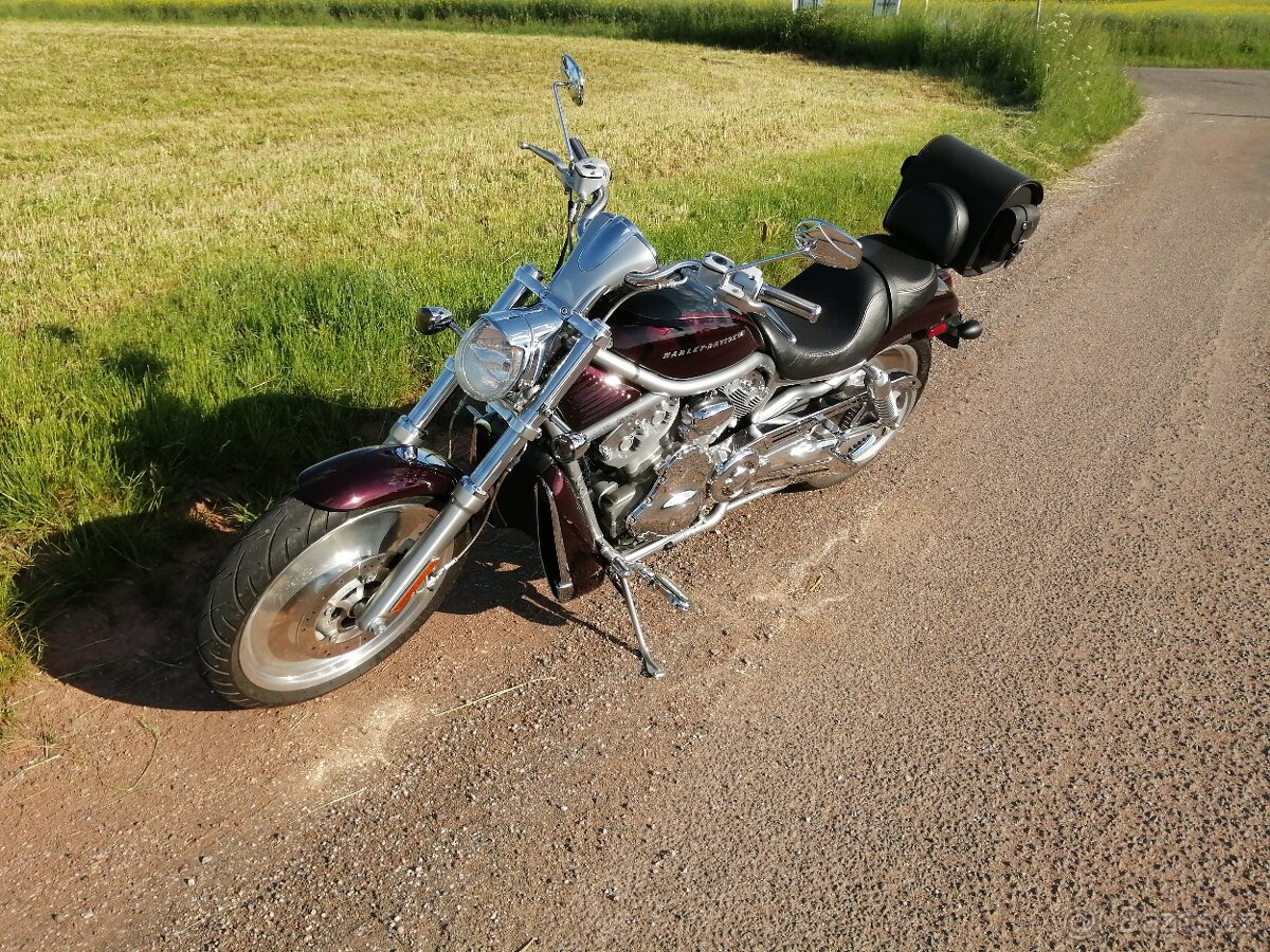 Harley Davidson - V ROD VRSCA - 7