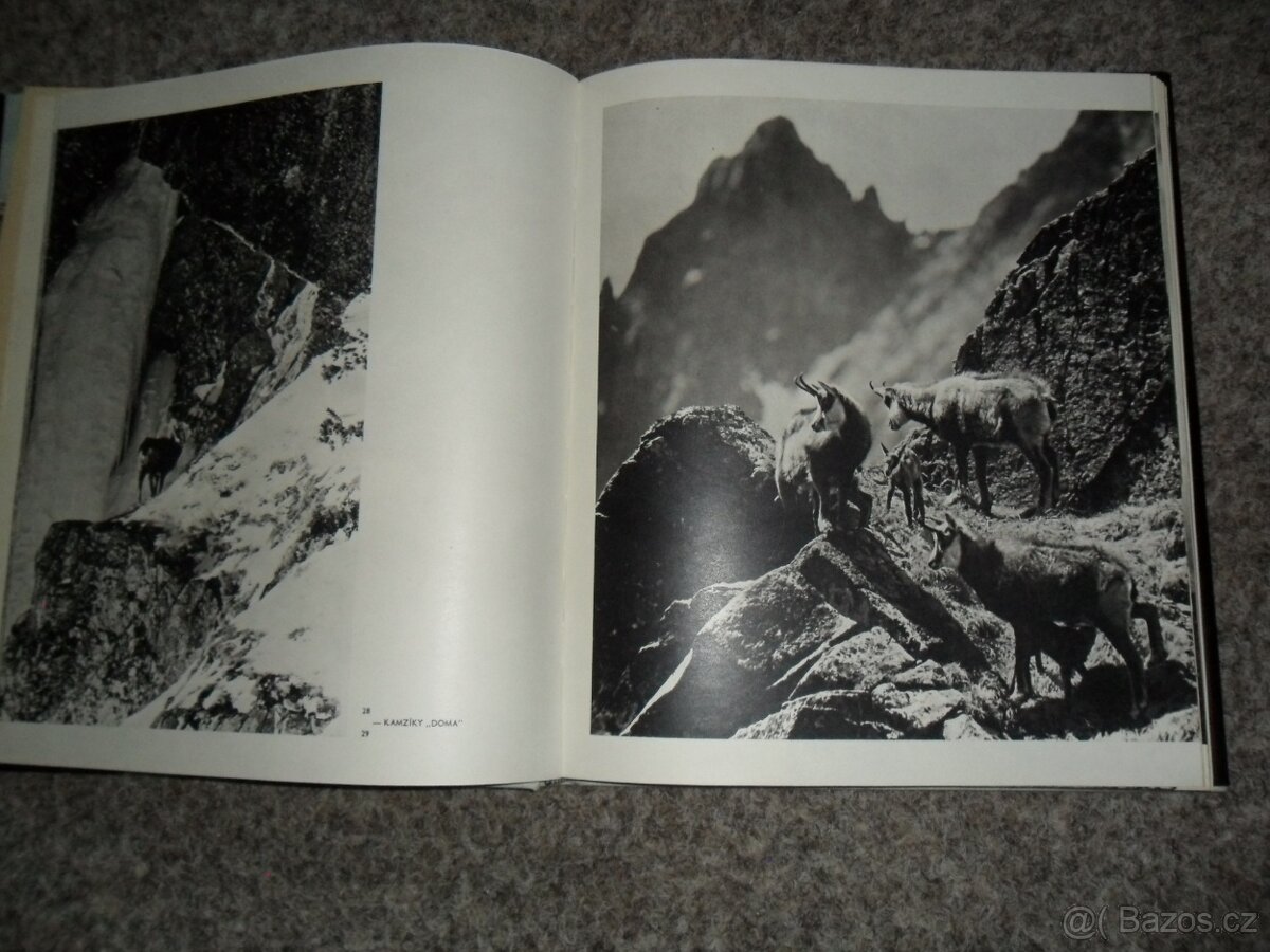 Slovensko, Tatry, Svidník, Banská Bystrica - 5 fotopublikací - 7