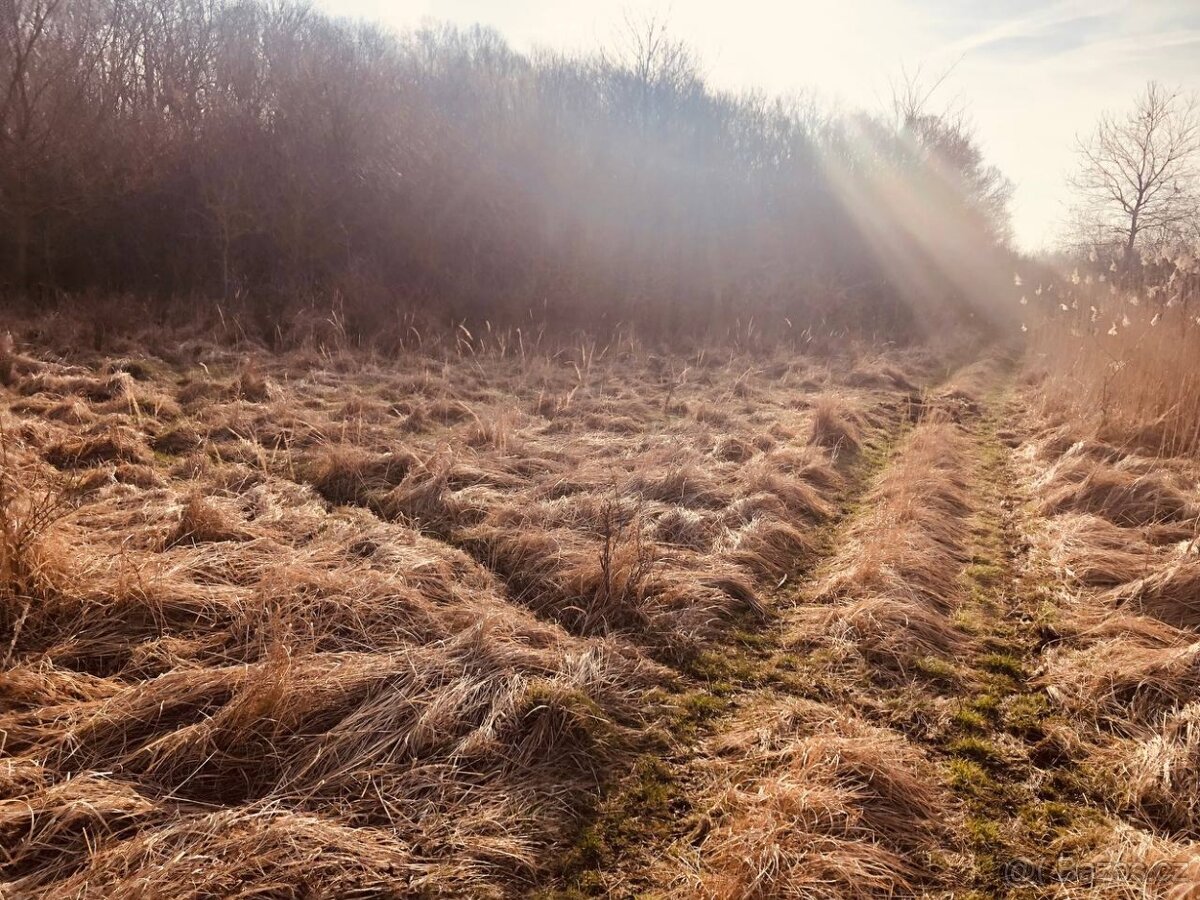 Lúka Malé Leváre, 26 385 m² pri Morave - 7