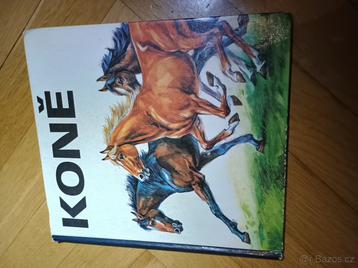 Knížky pro holky - 7