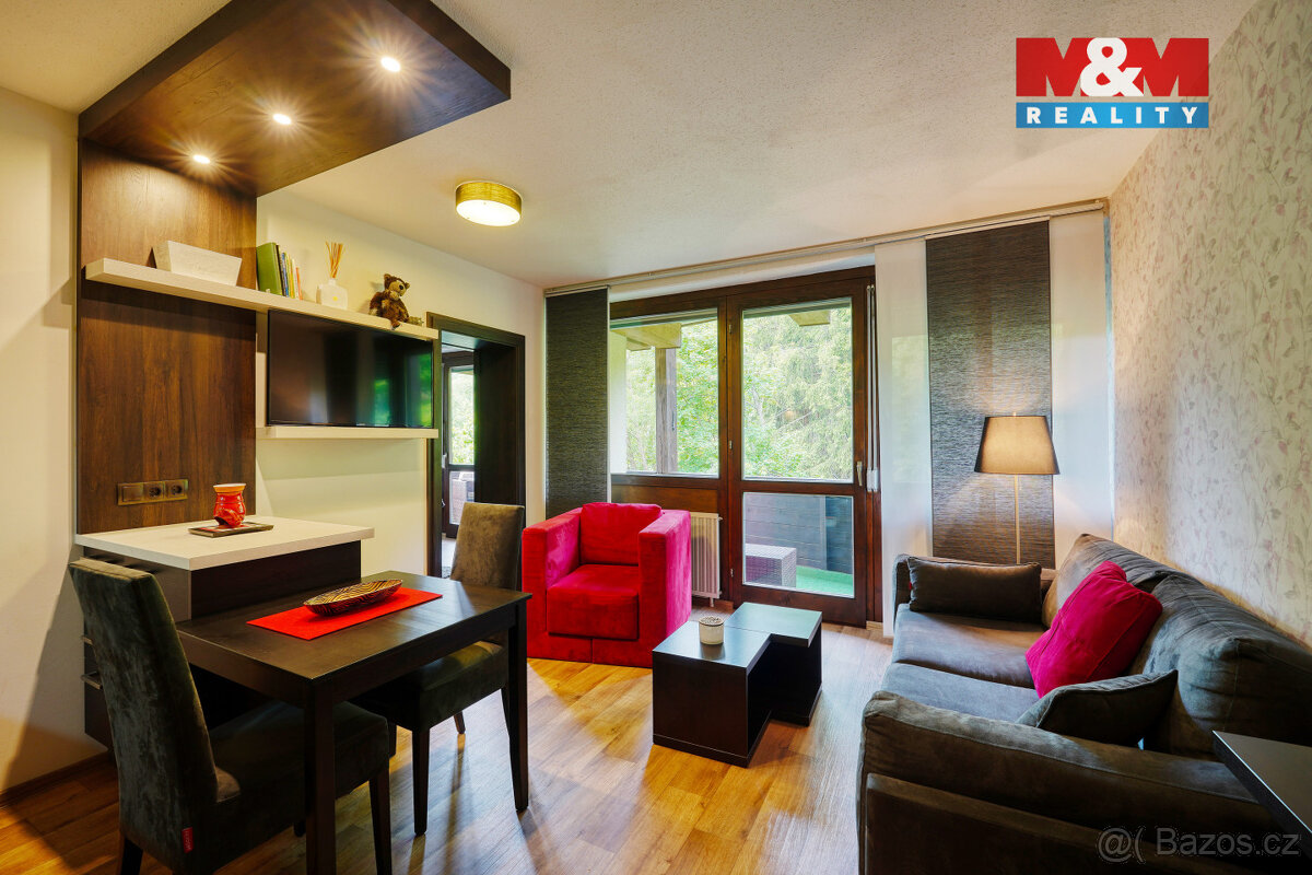 Prodej bytu 2+kk, 55 m², Železná Ruda - 7
