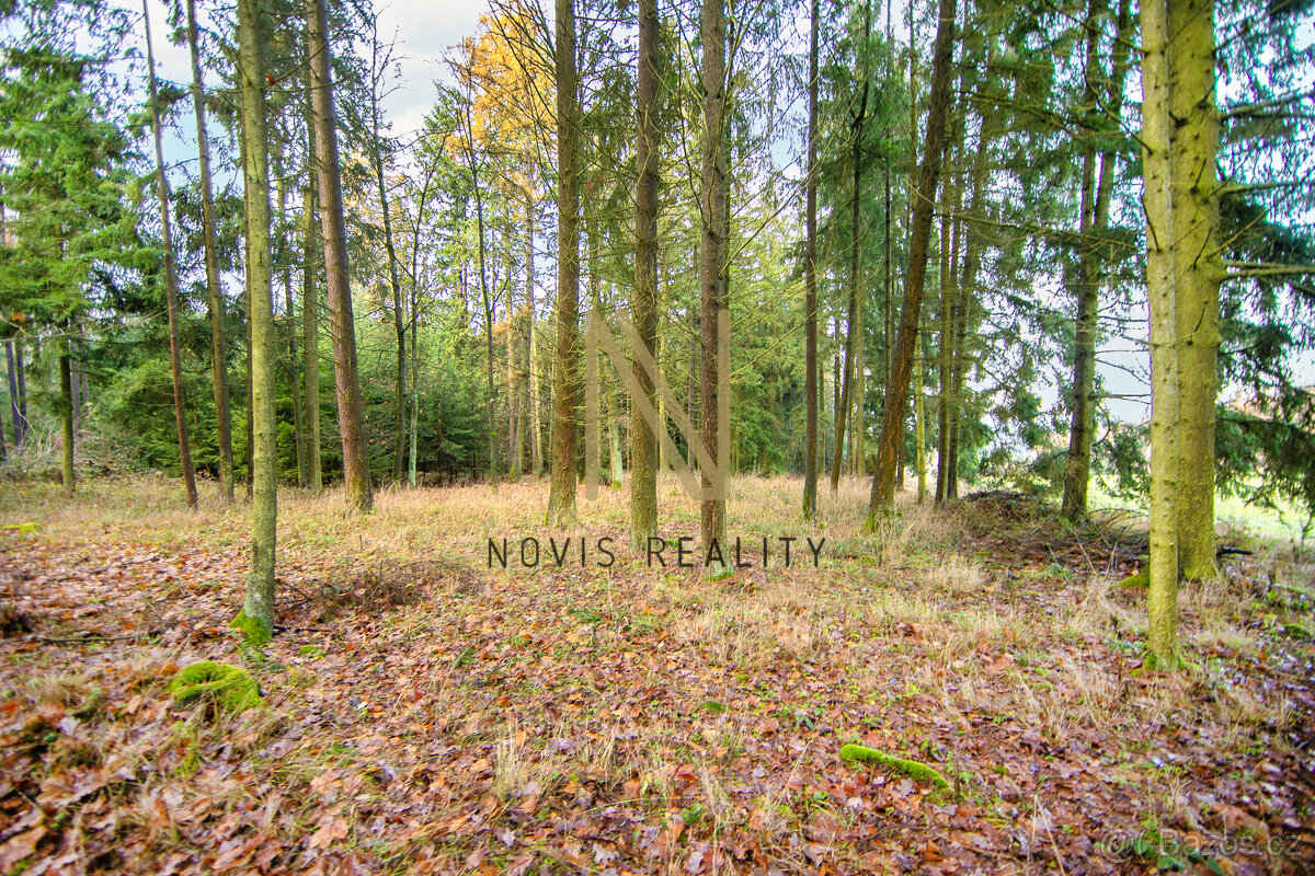 Prodej, les, 7475 m², Chudenice, Chudenický Žďár - 7