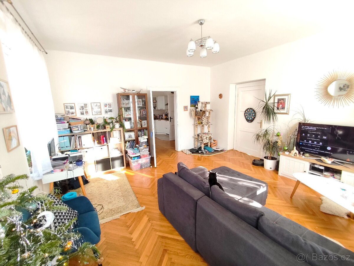 Vyjimecny byt 3+1 v lázních - 7