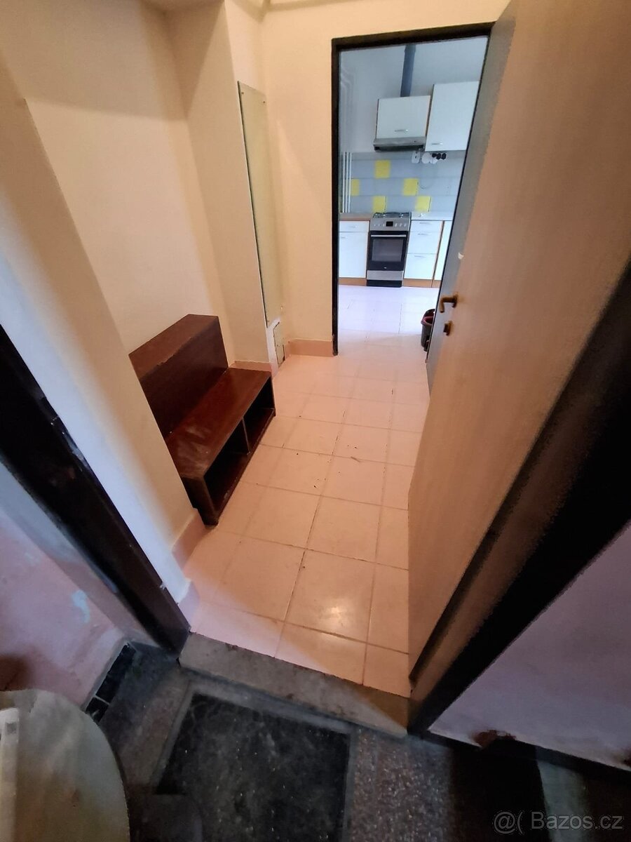 Pronájem bytu 2+1 41 m², ev.č. 40126 - 7