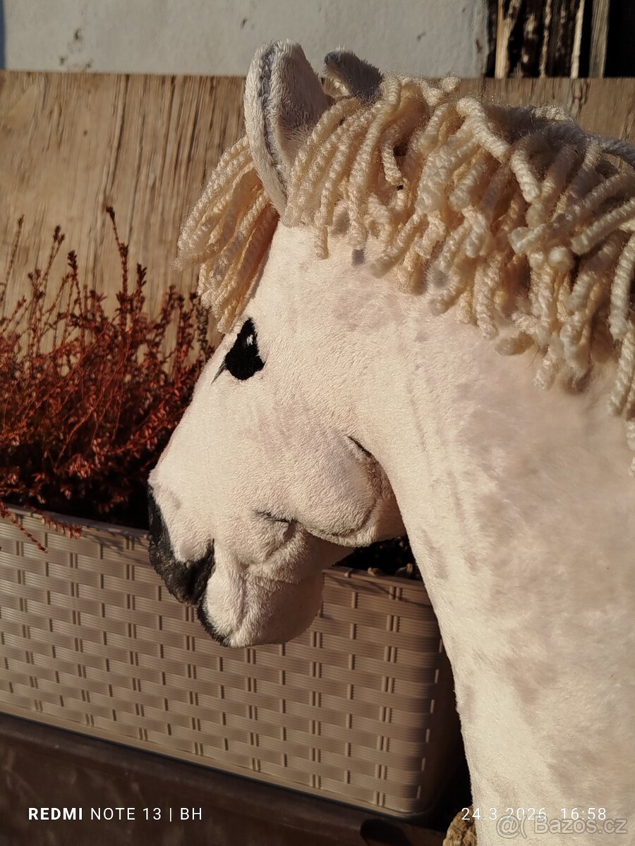 Hobby horse - 7