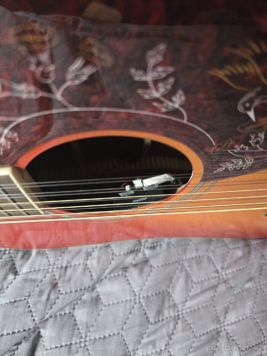Nová elektroakustická kytara 12 strun - 7