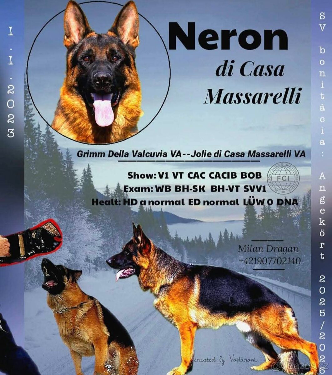 Německý ovčák s PP - 7