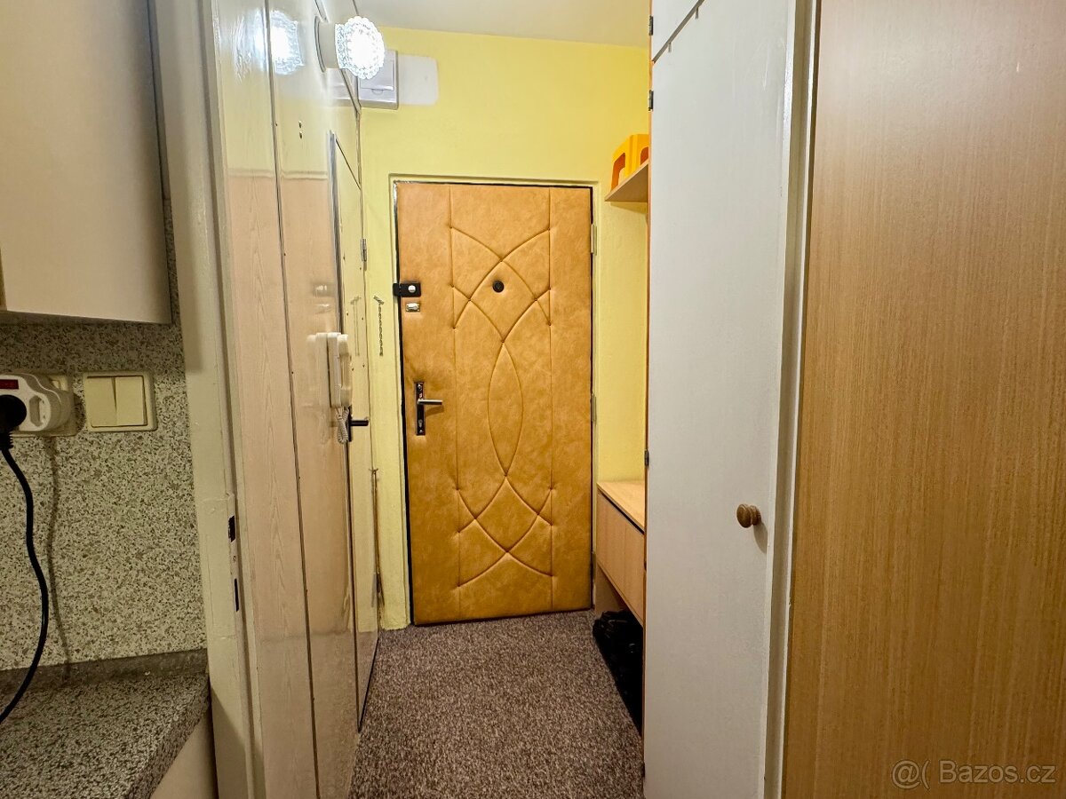 Prodej, byt 1+1, OV. Chomutov, Školní Pěšina. - 7