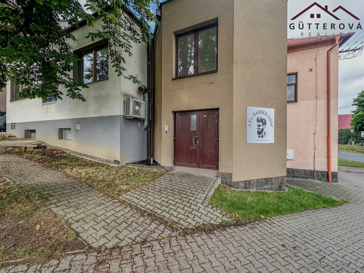 Pronájem bytu 1+kk 43 m², Holýšov, ev.č. yIGB059 - 7