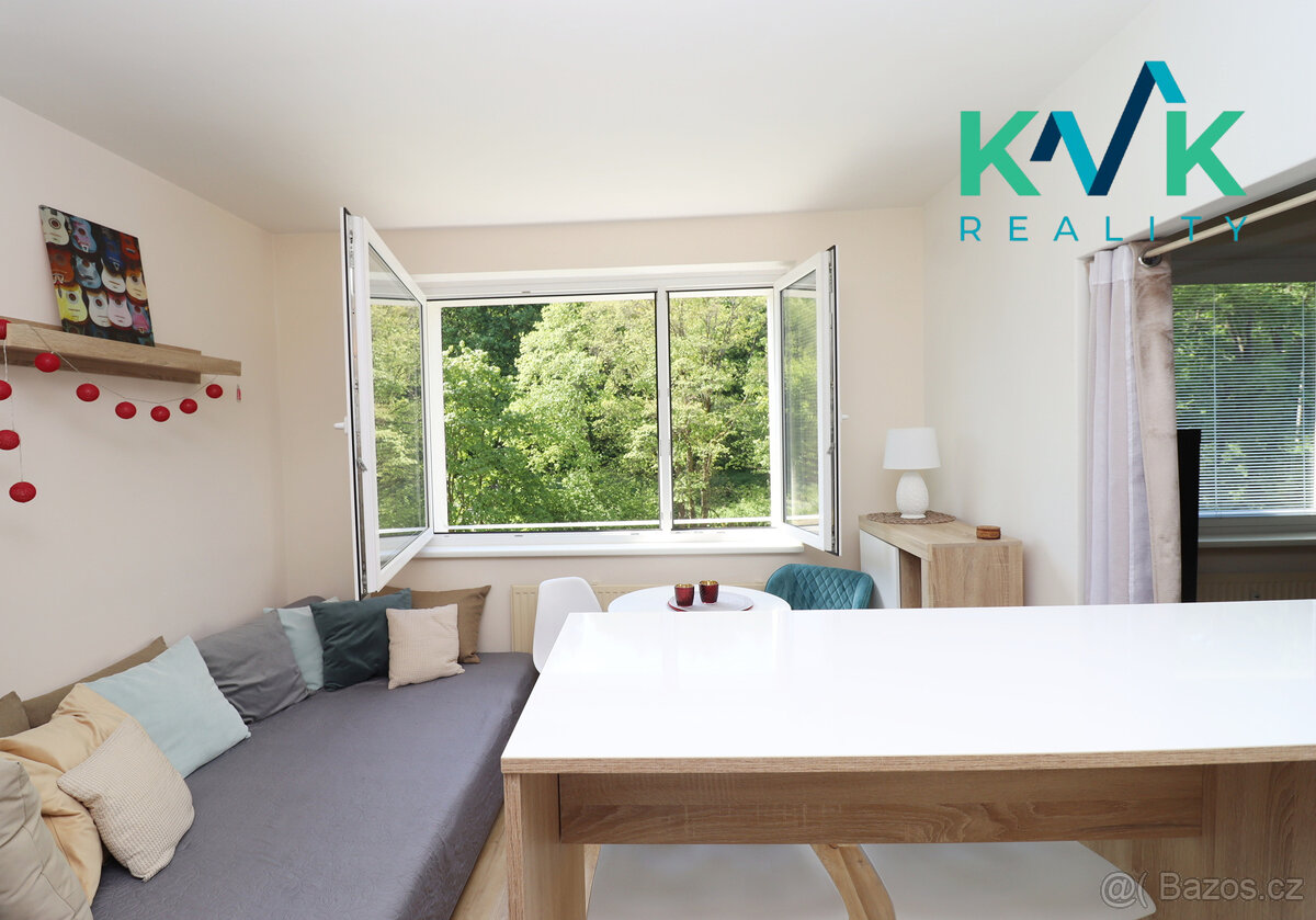 Prodej světlého bytu 1+1 po rekonstrukci – kompletně vybaven - 7