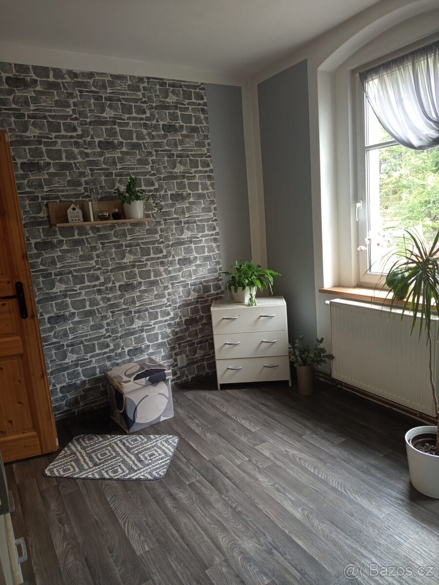 Větší dům k bydlení i podnikání - 7