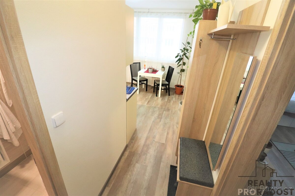 Pronájem rekonstruovaného bytu 1+1 40 m2 Petra Křičky - 7