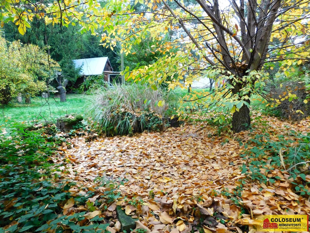 Dyje, zahrada, jezírko, 387 m² – pozemek, ev.č. V3288Z037 - 7